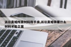 诉讼离婚所需材料和手续,诉讼离婚需要什么材料才能立案