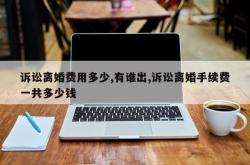 诉讼离婚费用多少,有谁出,诉讼离婚手续费一共多少钱